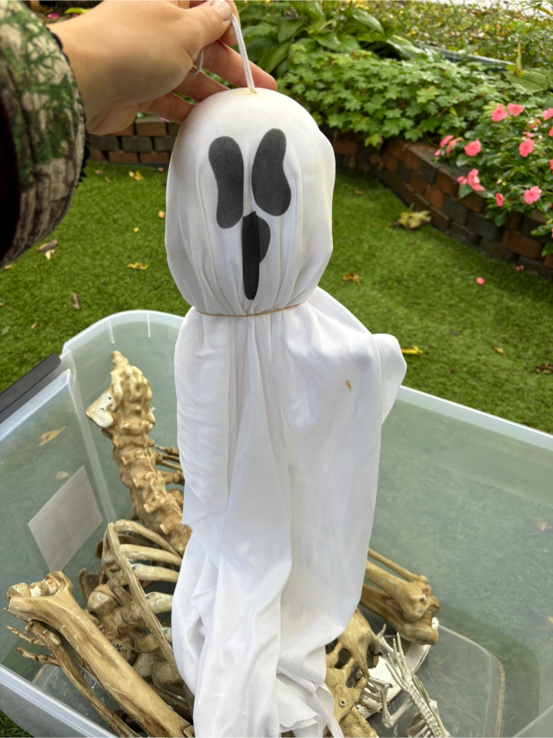 Assorted Halloween Decorations and Costumes - photo 4