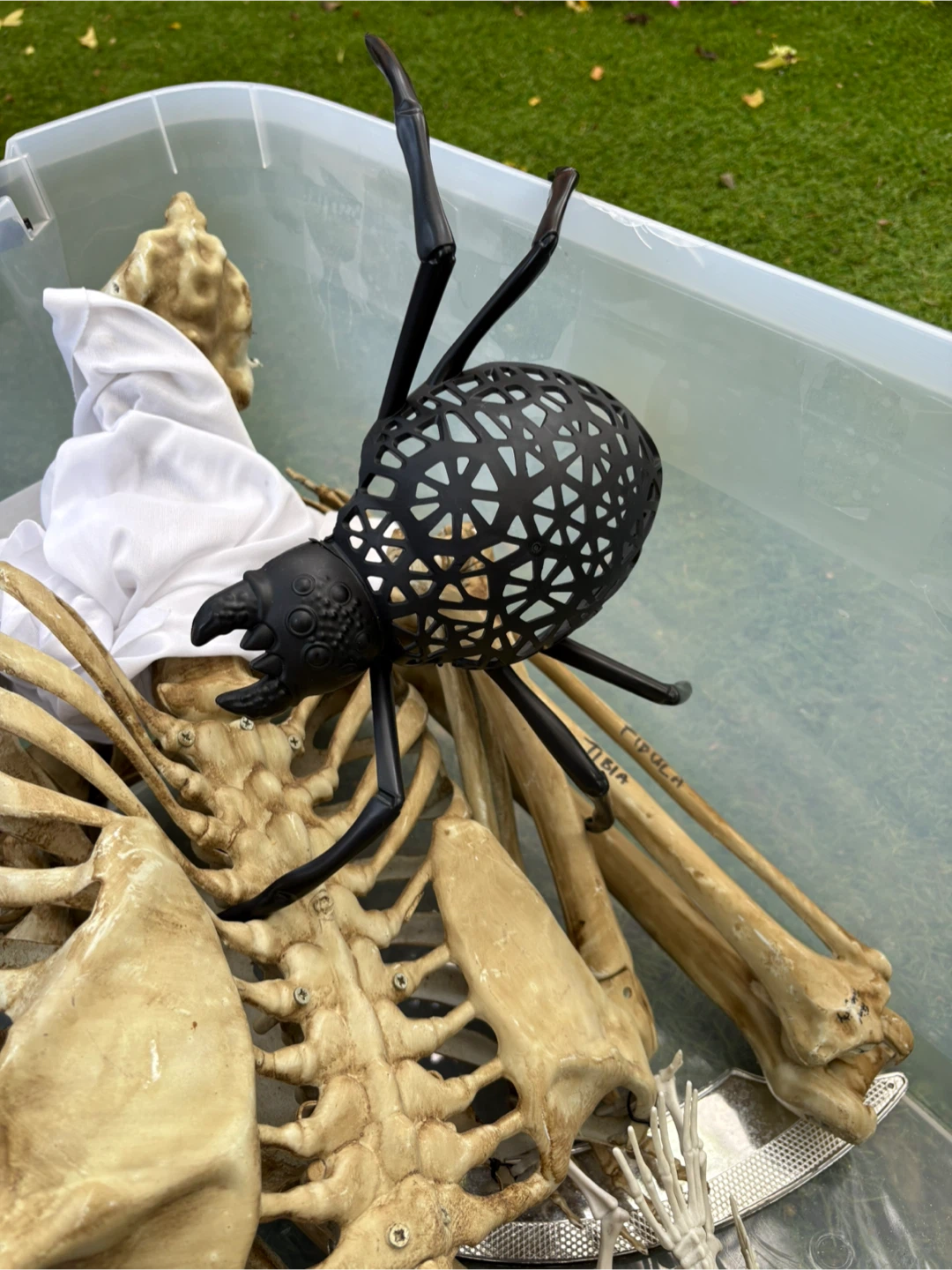 Assorted Halloween Decorations and Costumes - photo 5