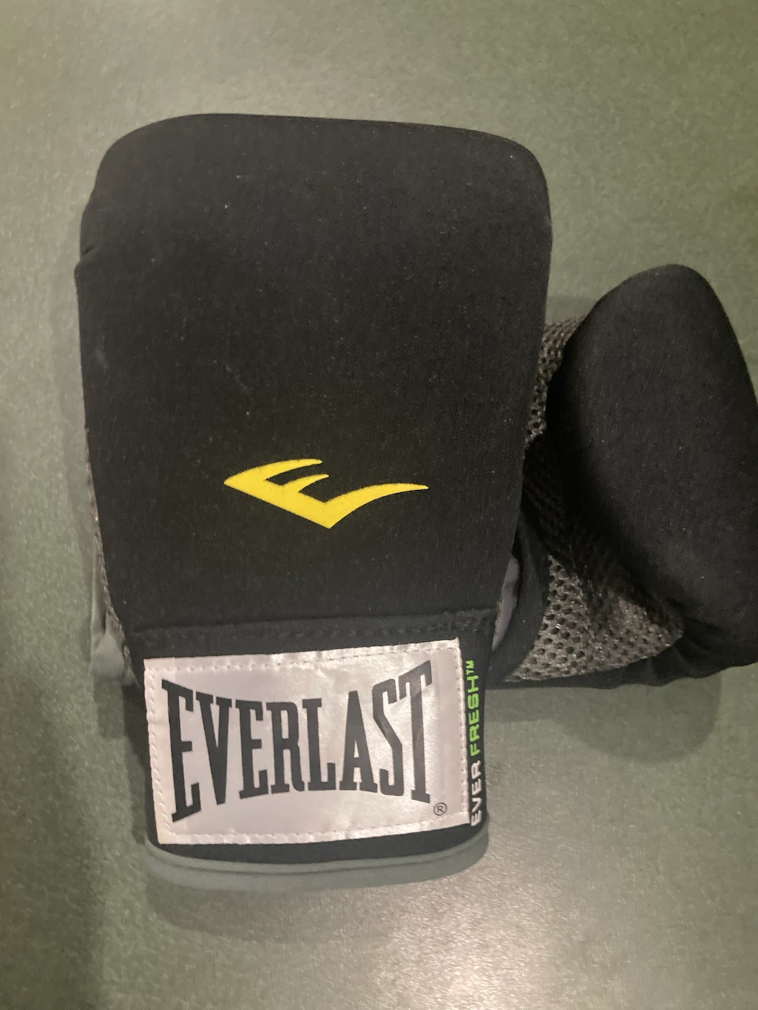 Everlast Boxing Gloves