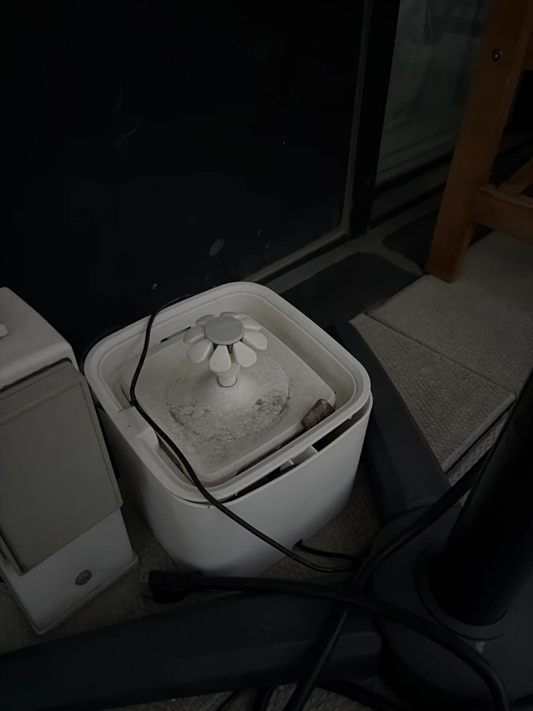 Cat Water Fountain