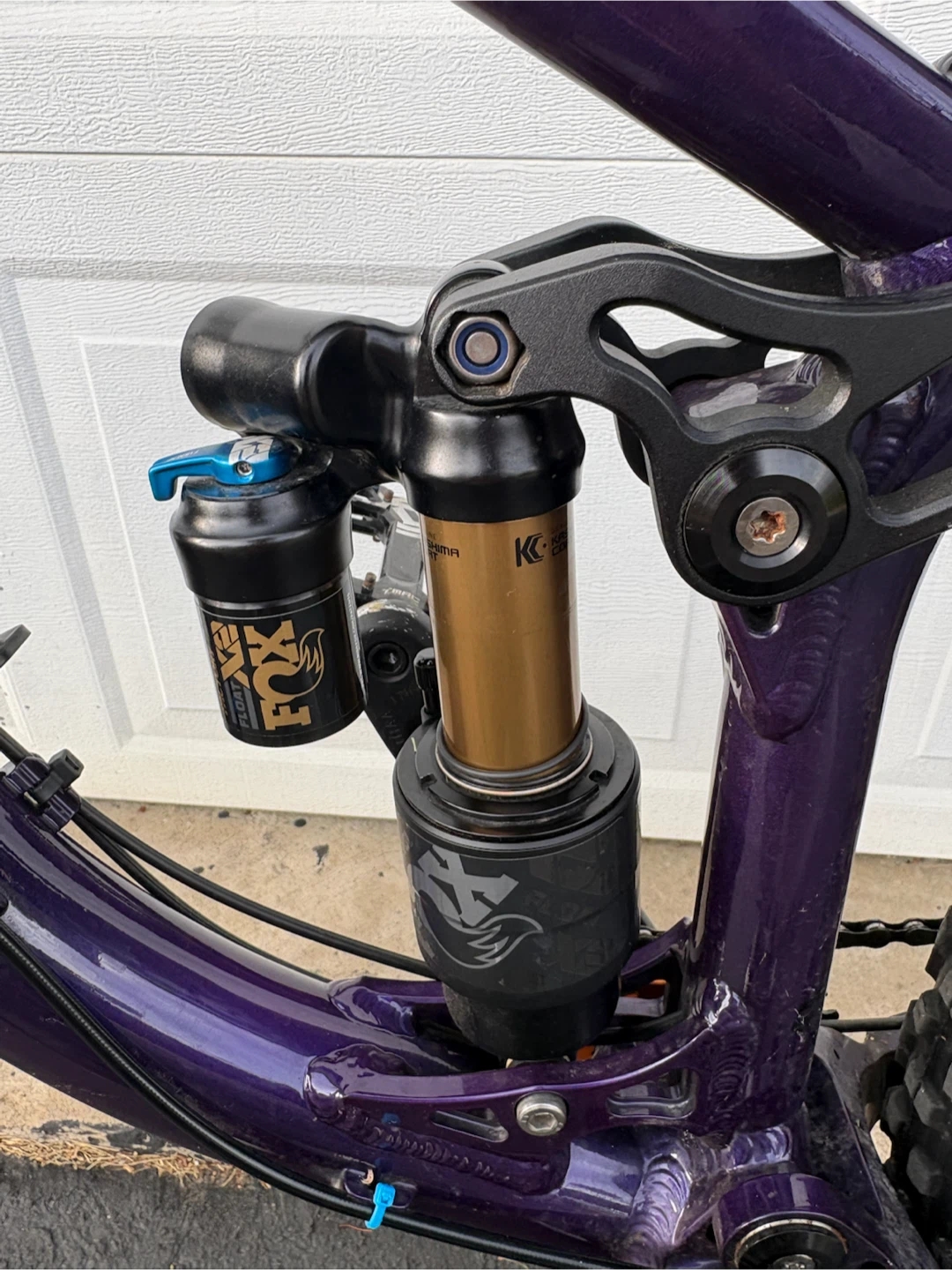 Rsd wildcat 2022 - photo 4