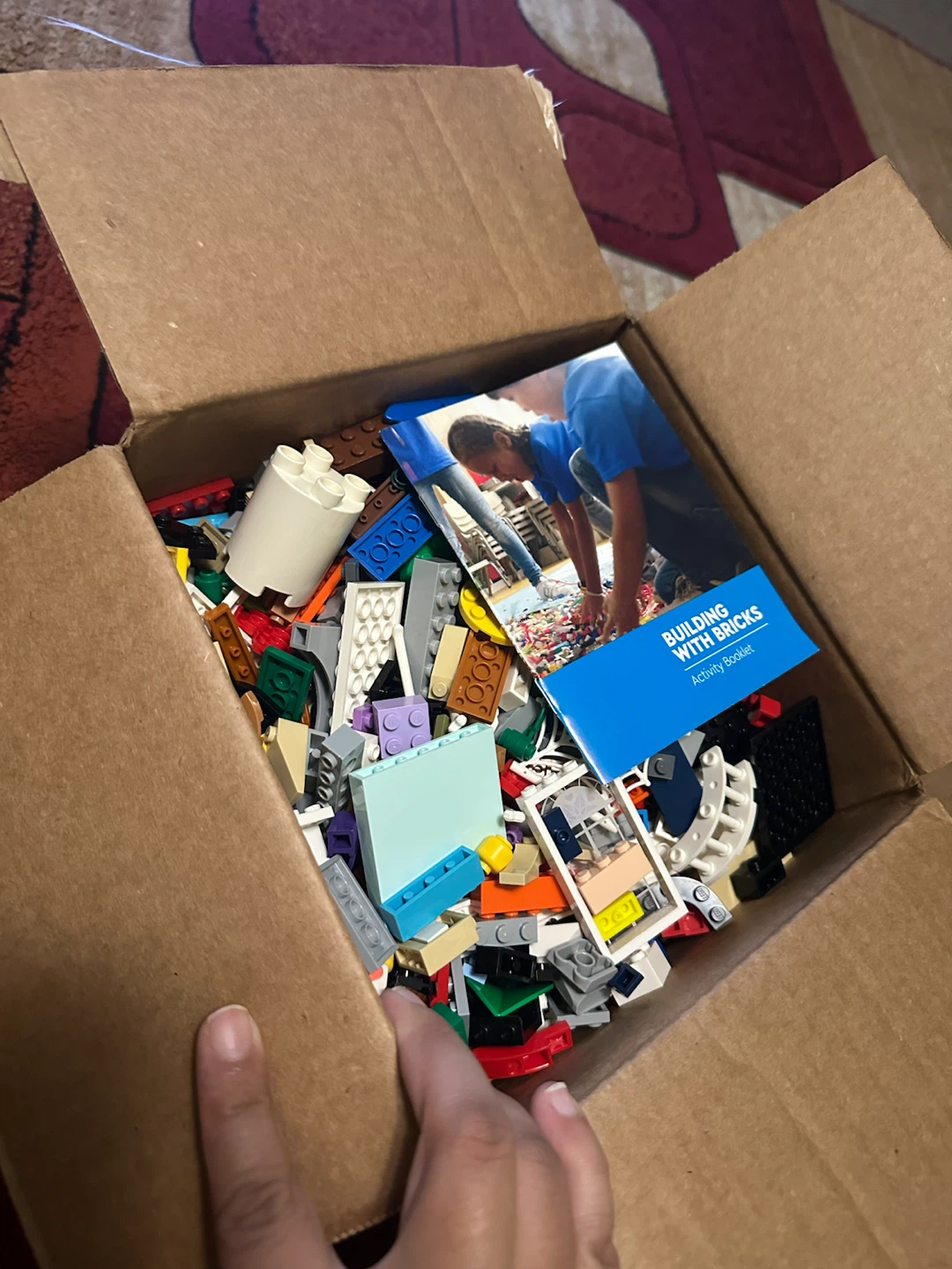 Assorted LEGO Bricks with Activity Booklet