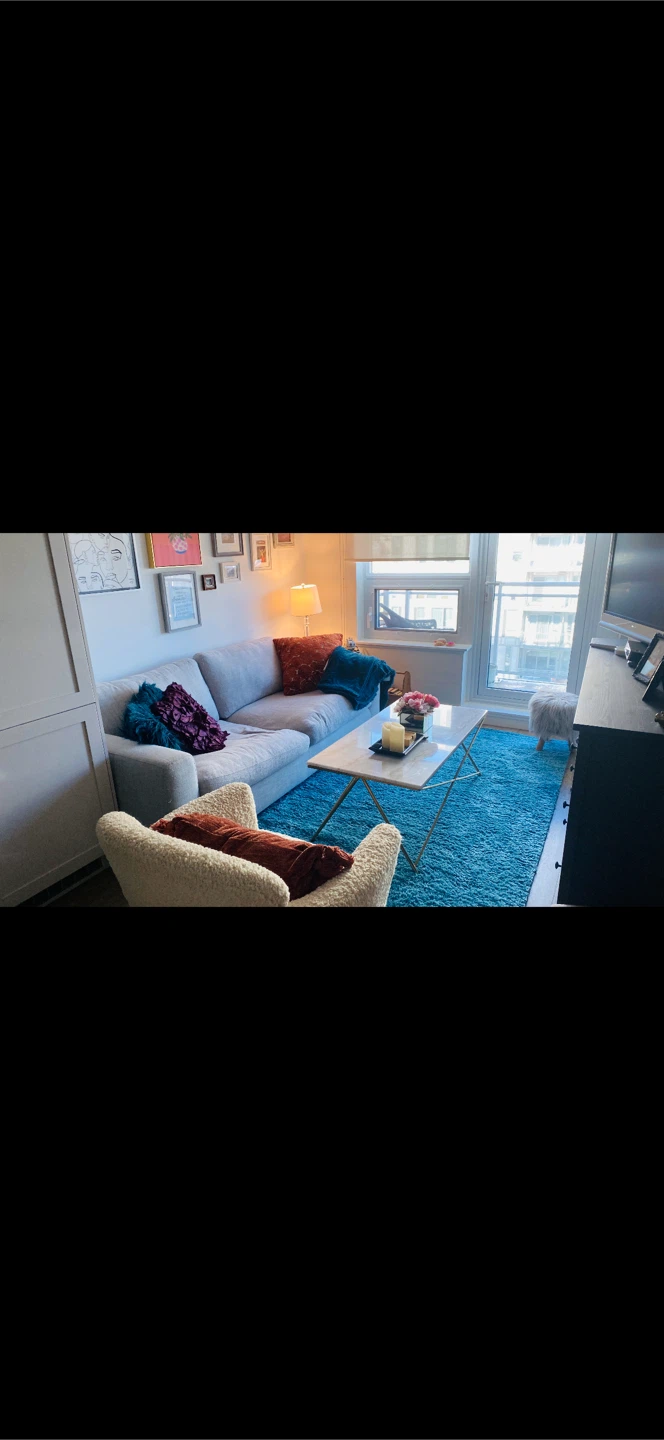 Light Grey Sofa - photo 3