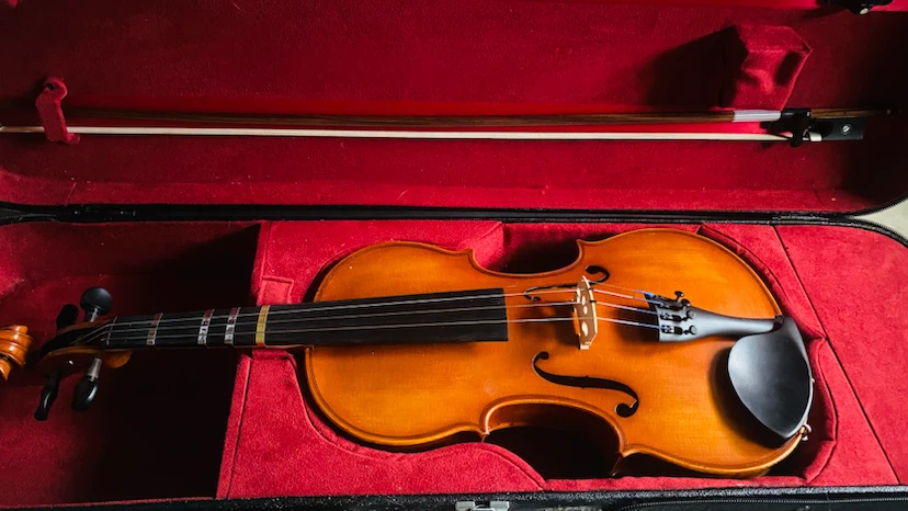 Ivan Dunov prelude 4/4 violin outfit