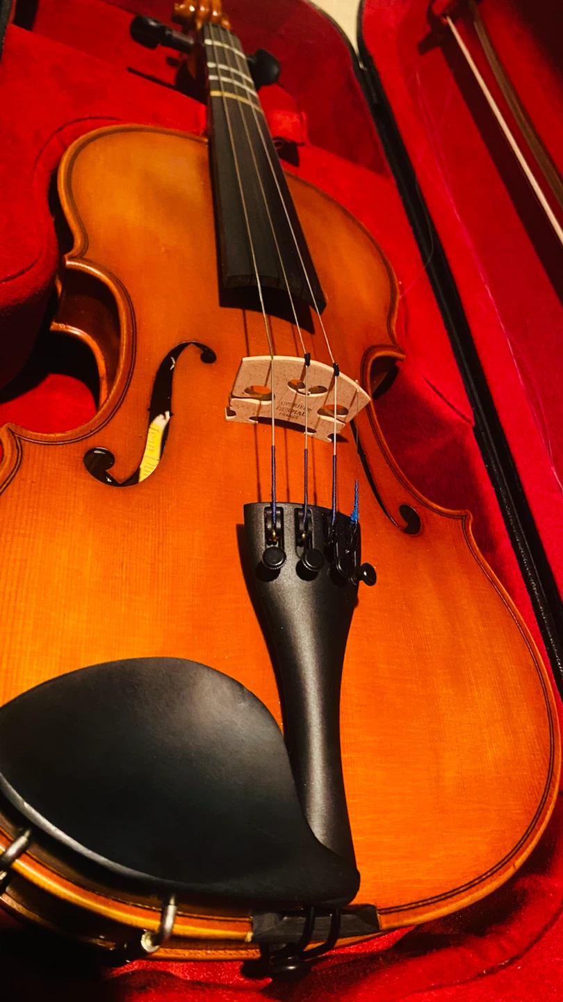 Ivan Dunov prelude 4/4 violin outfit - photo 2
