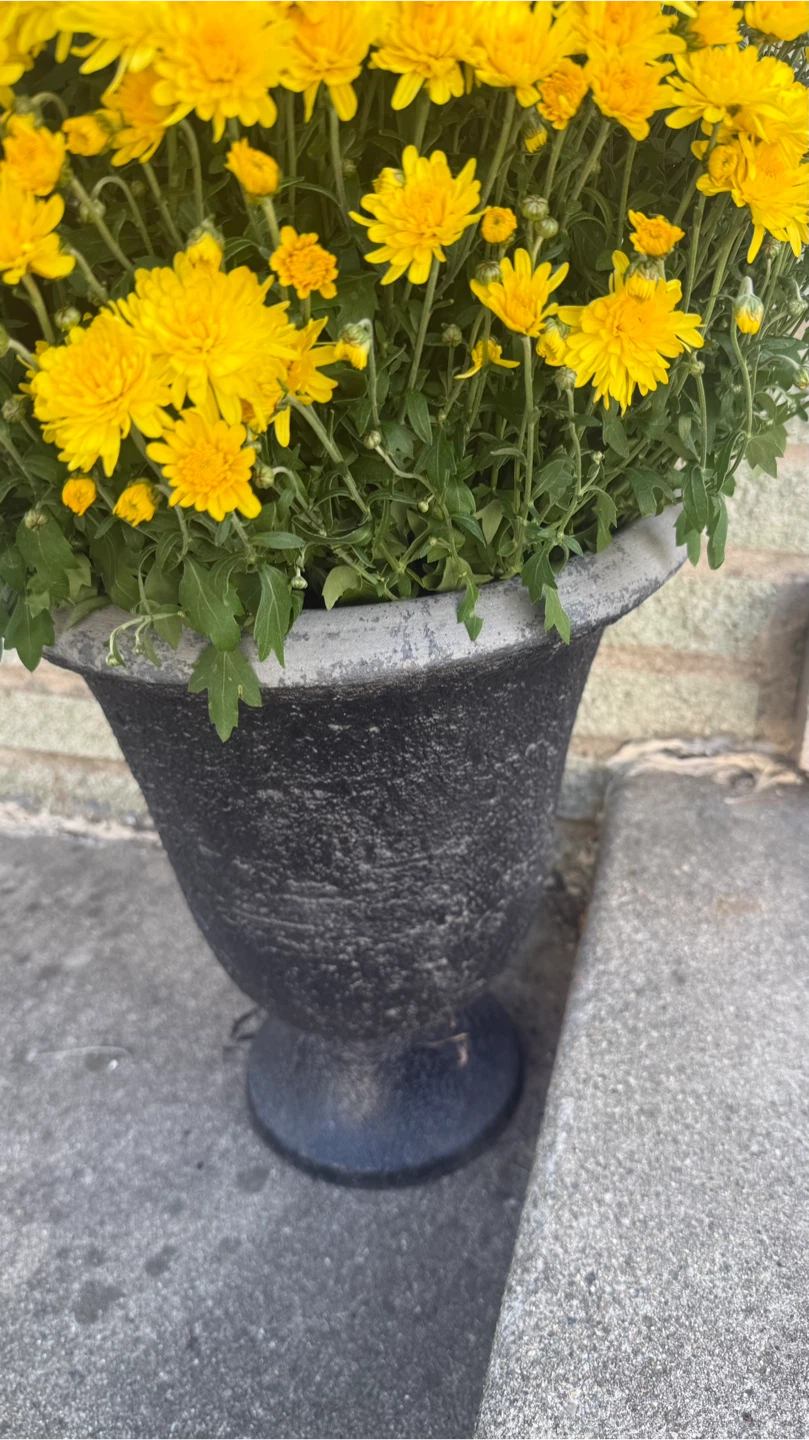 Black Planter flower not included - photo 3