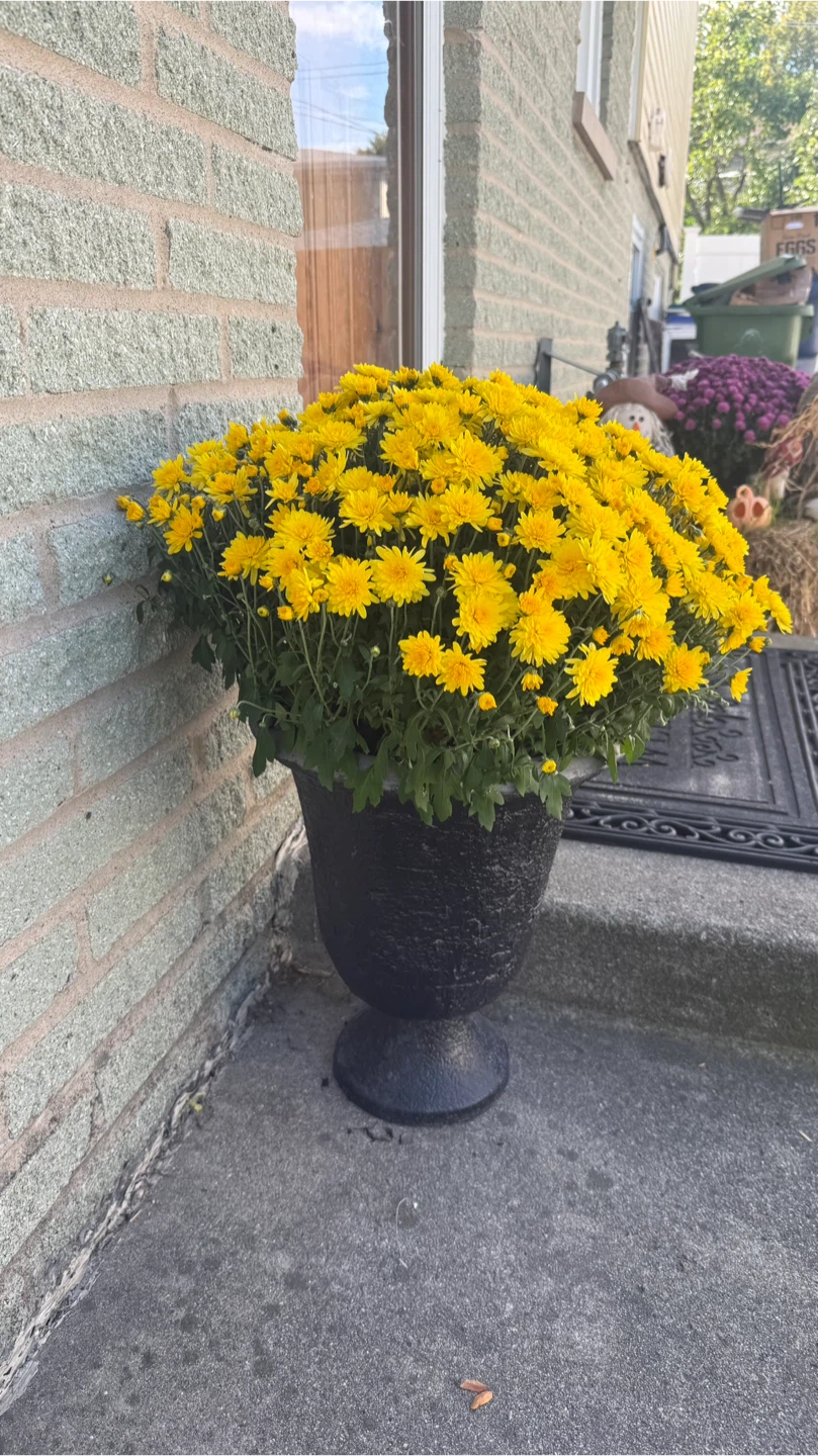 Black Planter flower not included - photo 5