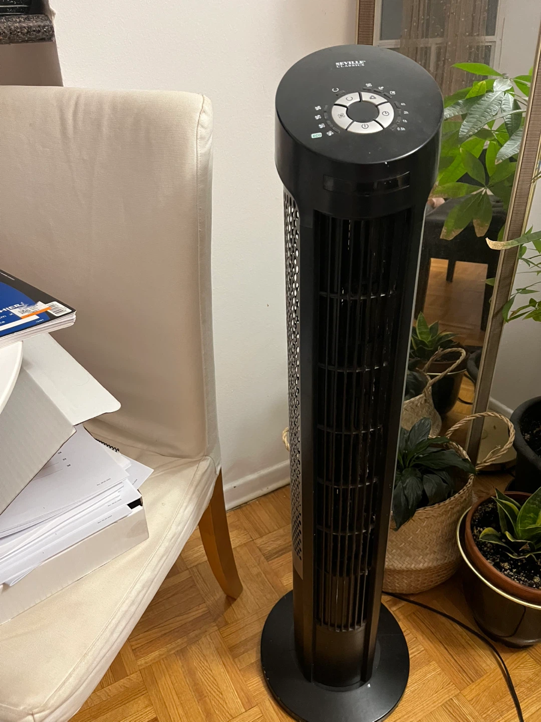 Fan