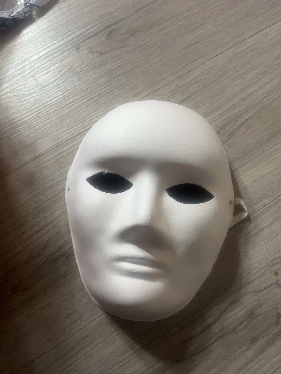Plain White Plastic Masquerade Mask