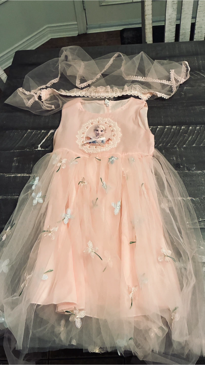 Frozen Elsa Dress with Veil
