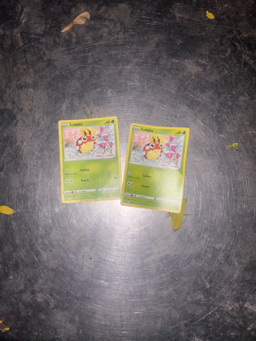 Two Ledyba Pokemon Trading Cards