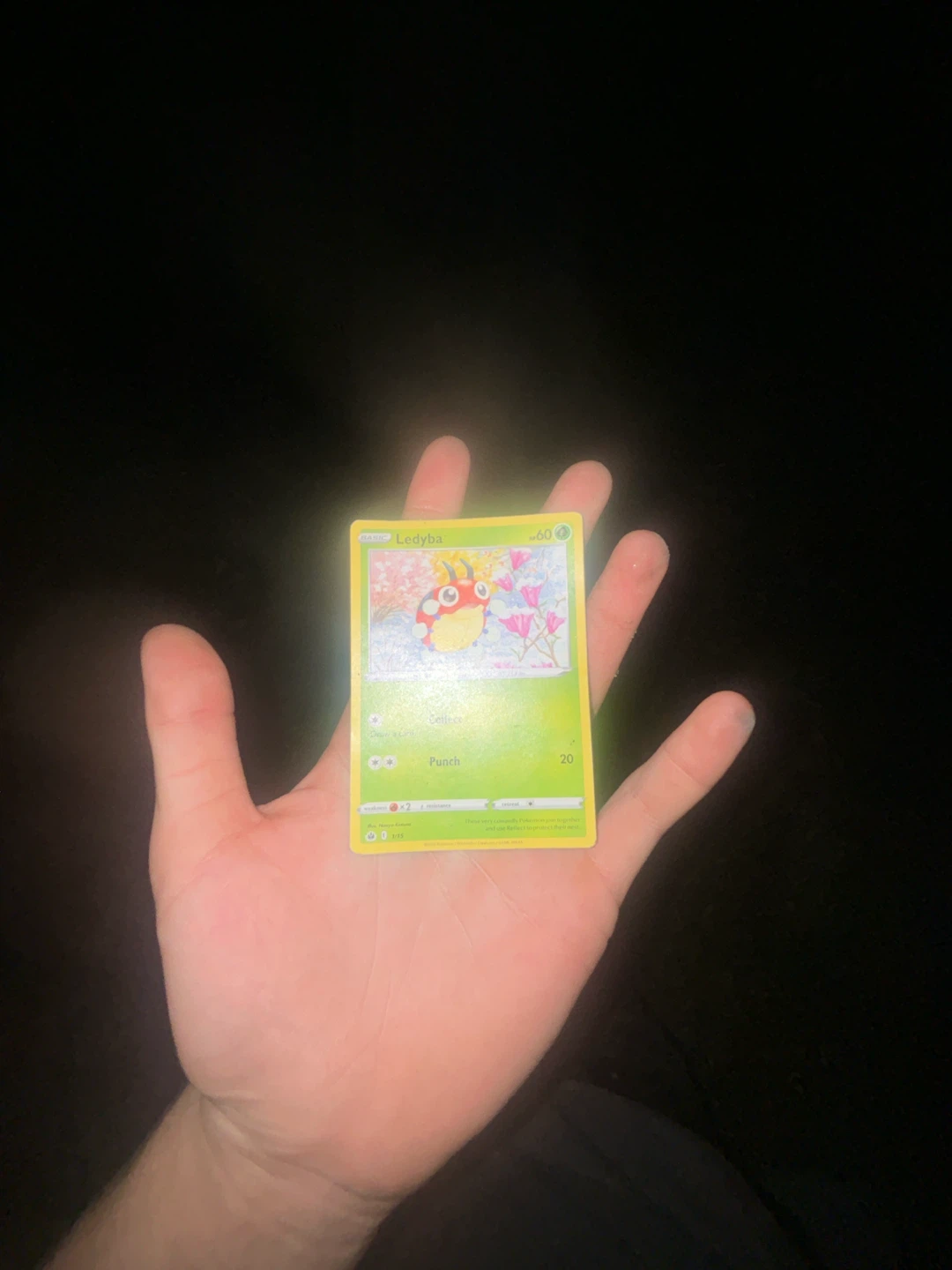 Two Ledyba Pokemon Trading Cards - photo 2