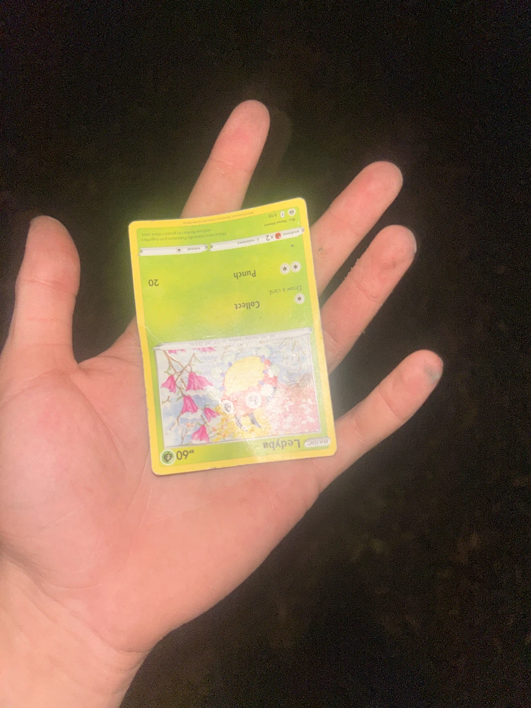 Two Ledyba Pokemon Trading Cards - photo 4