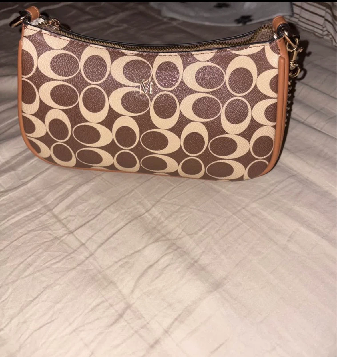 Coach Signature Canvas Mini Bag