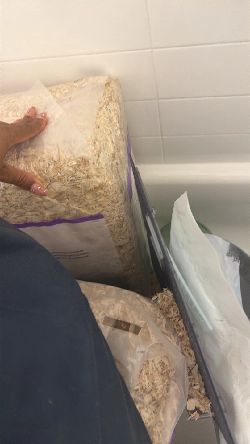 Small Pet Bedding and Timothy Hay Bundle - photo 4