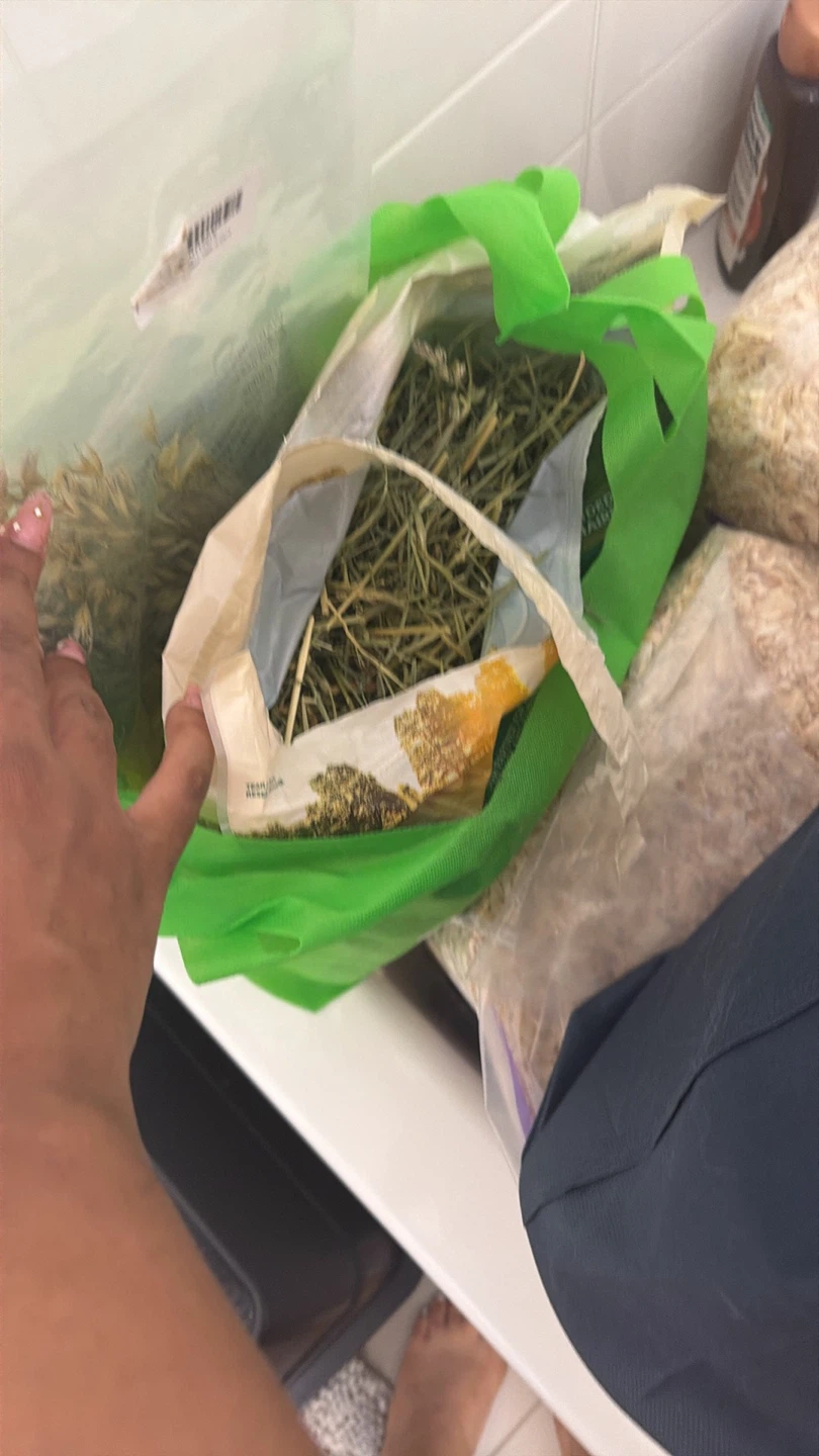 Small Pet Bedding and Timothy Hay Bundle - photo 5