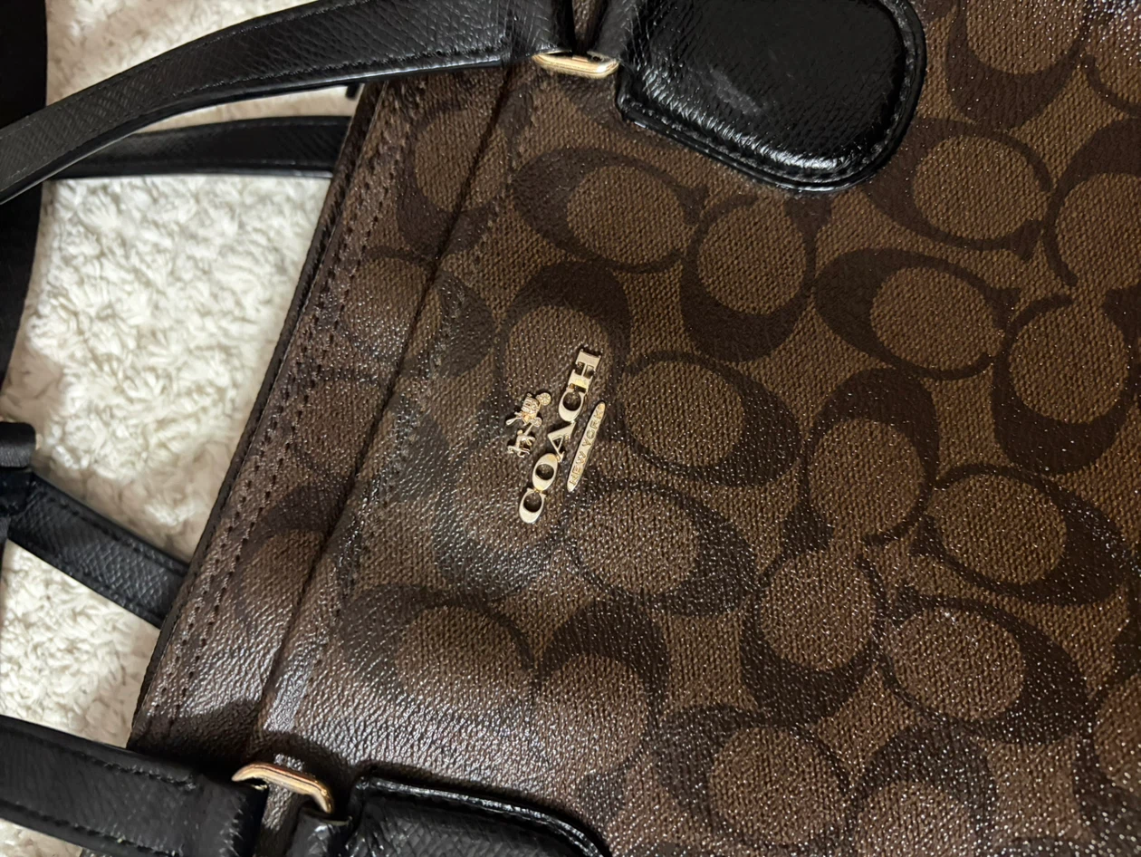 Coach Signature Tote Bag Brown