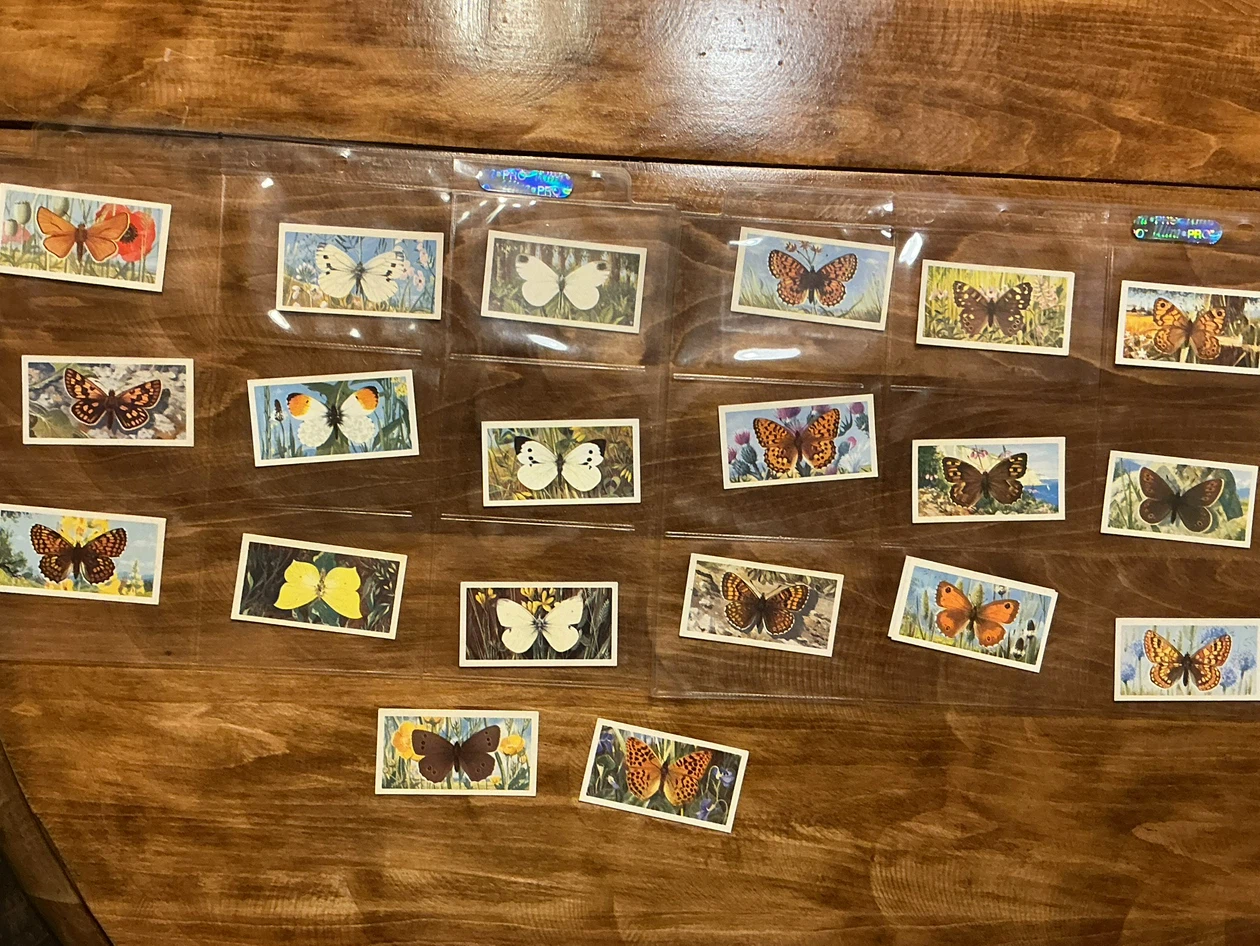 20. 1963 Brooke Bond Tea BRITISH BUTTERFLIES Cards !