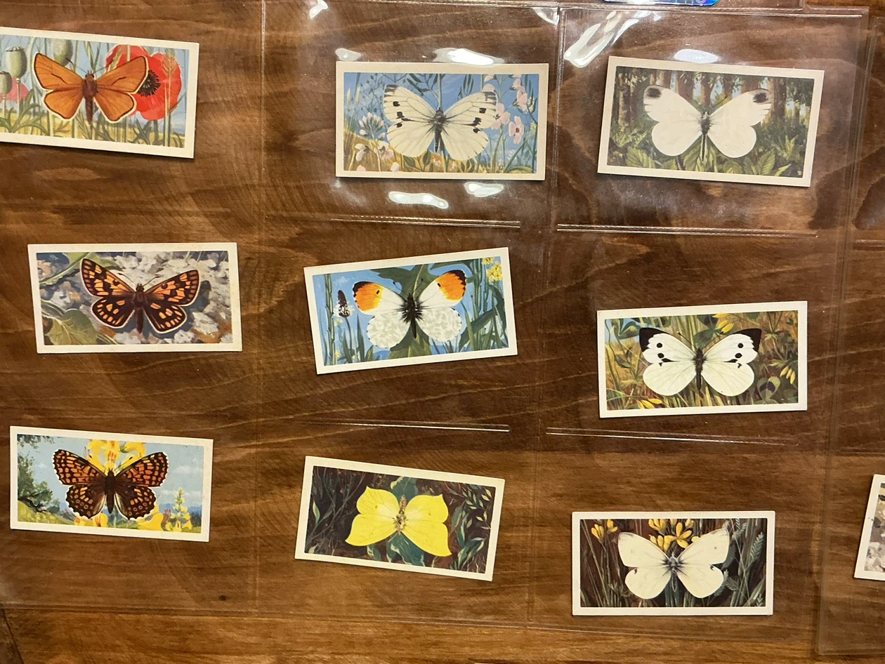 20. 1963 Brooke Bond Tea BRITISH BUTTERFLIES Cards ! - photo 2
