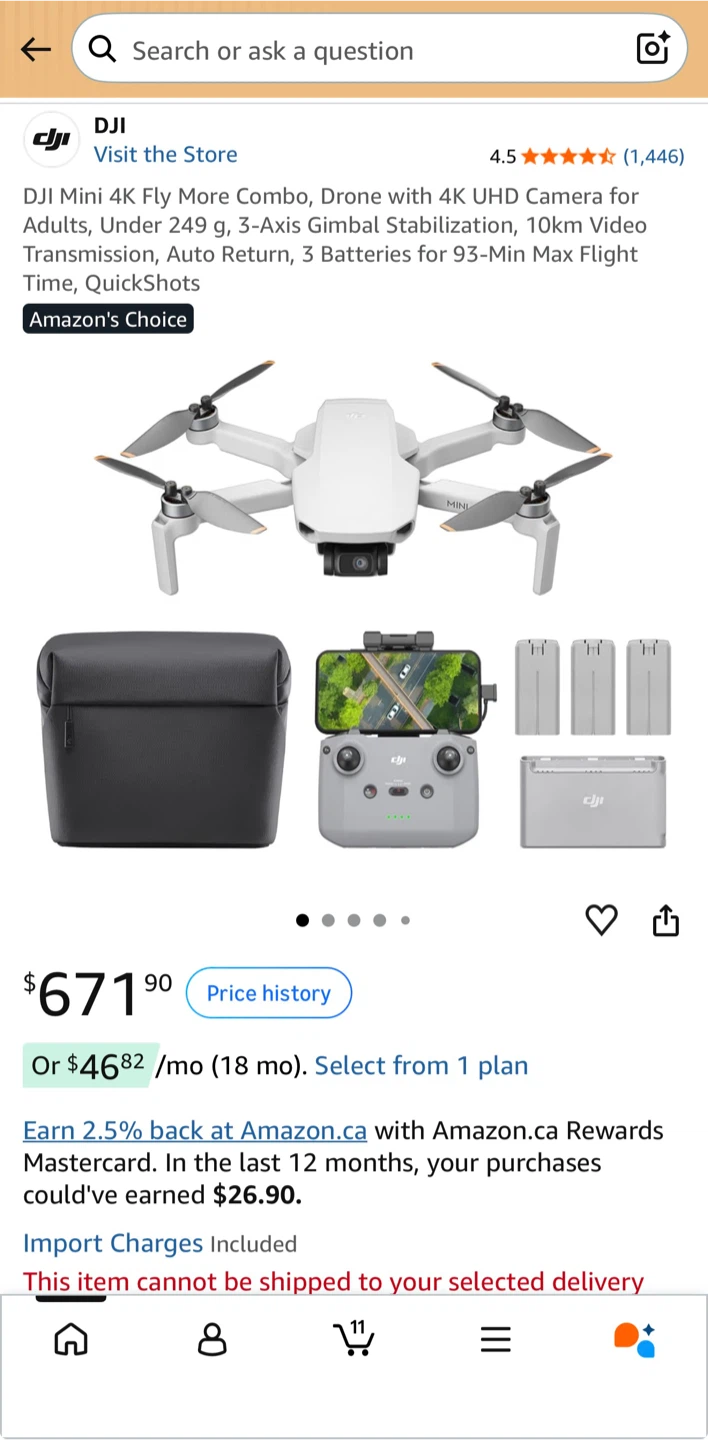 DJI Mini 4K Fly More Combo - photo 2