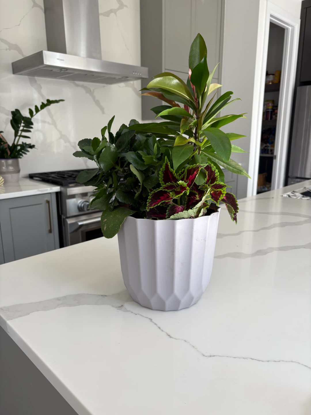 Houseplant Arrangement potted - photo 3