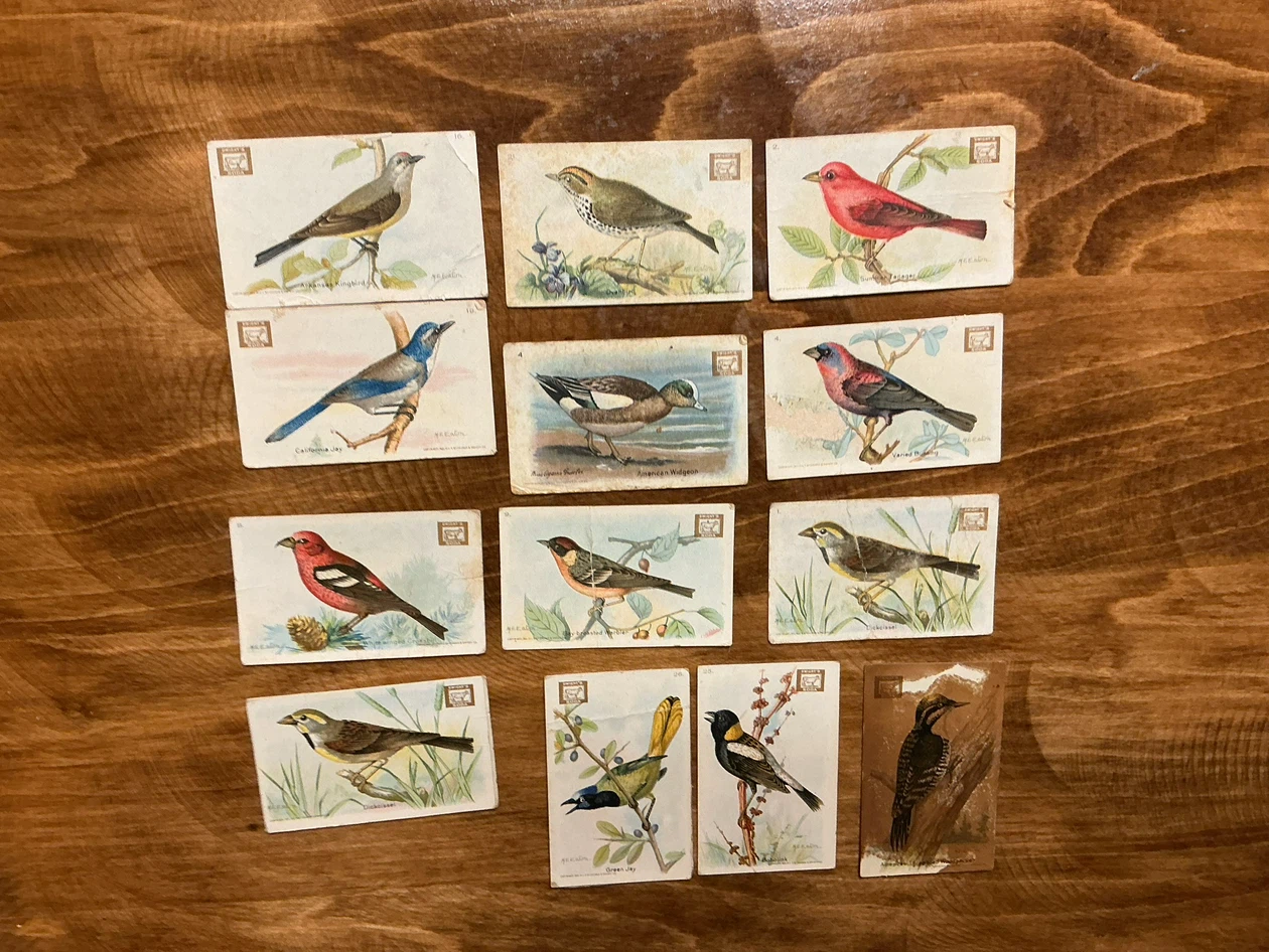 12. 1922 Church & Dwight USEFUL BIRDS OF AMERICA Cards