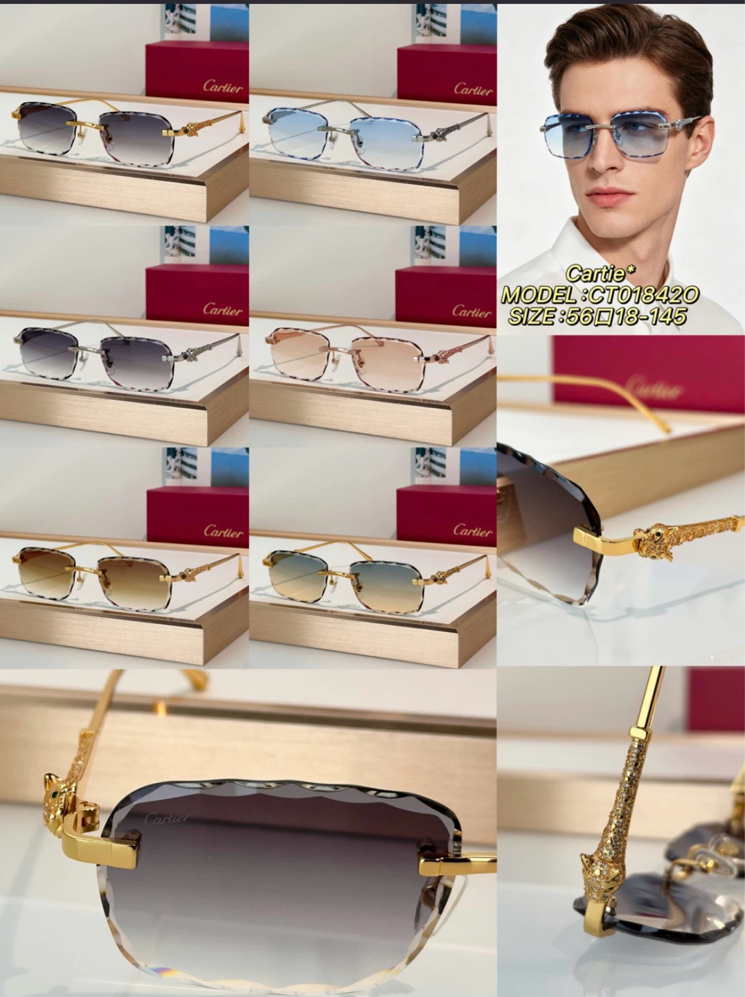 Cartier CT018420 Sunglasses