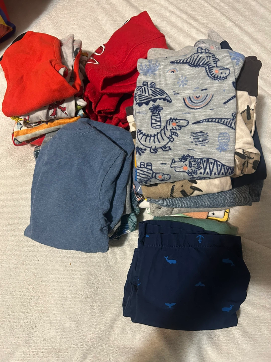 Boy's 2-3t Clothing Bundle (20+ pieces)
