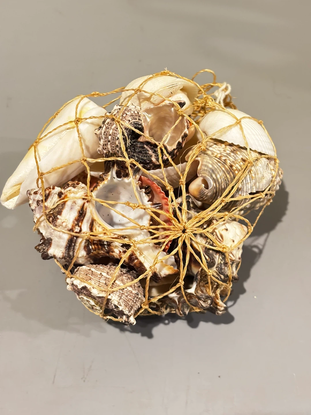 Decorative Seashell Collection in Net - photo 2