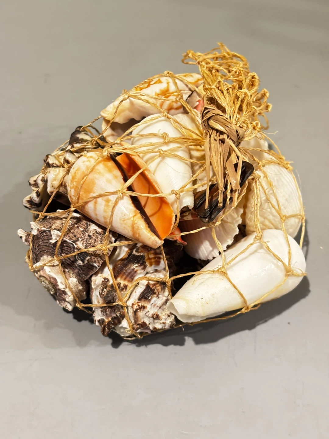 Decorative Seashell Collection in Net - photo 4
