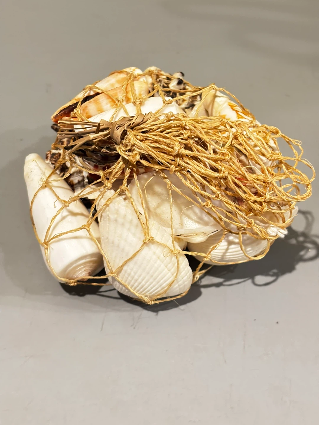Decorative Seashell Collection in Net - photo 5