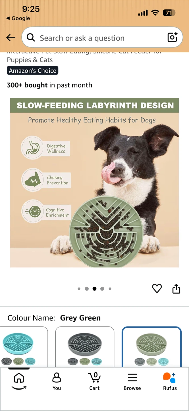 Zonopy Slow Feeder Dog Bowl Grey Green