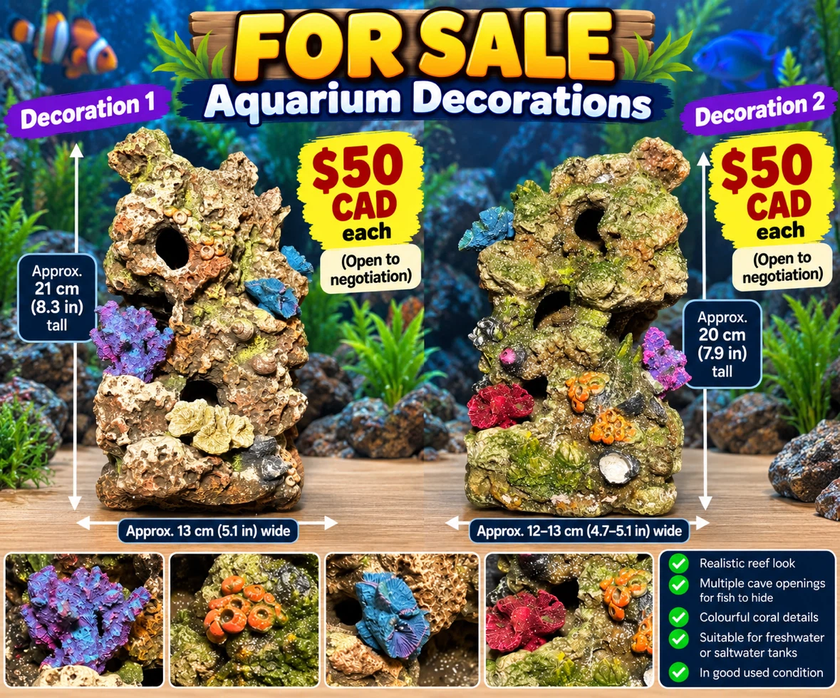 Aquarium Coral Reef Decorations - photo 2
