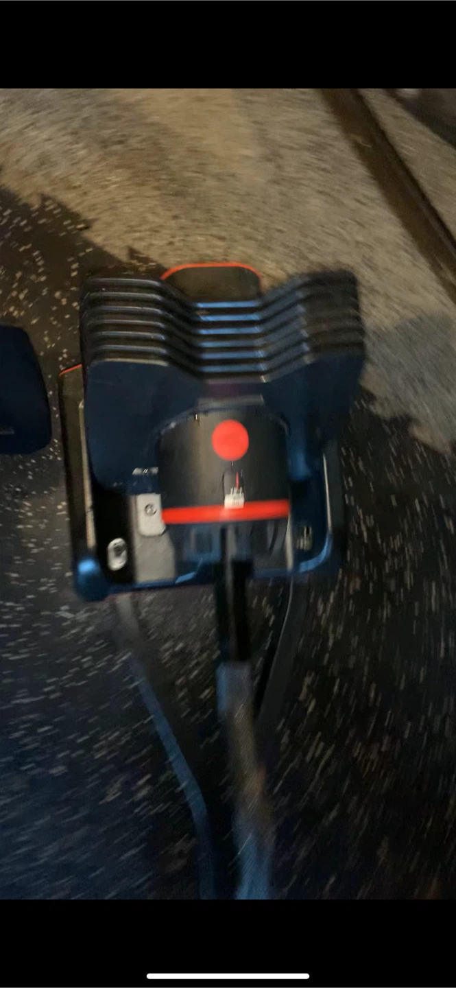Progression Squat Rack and Weight Bench