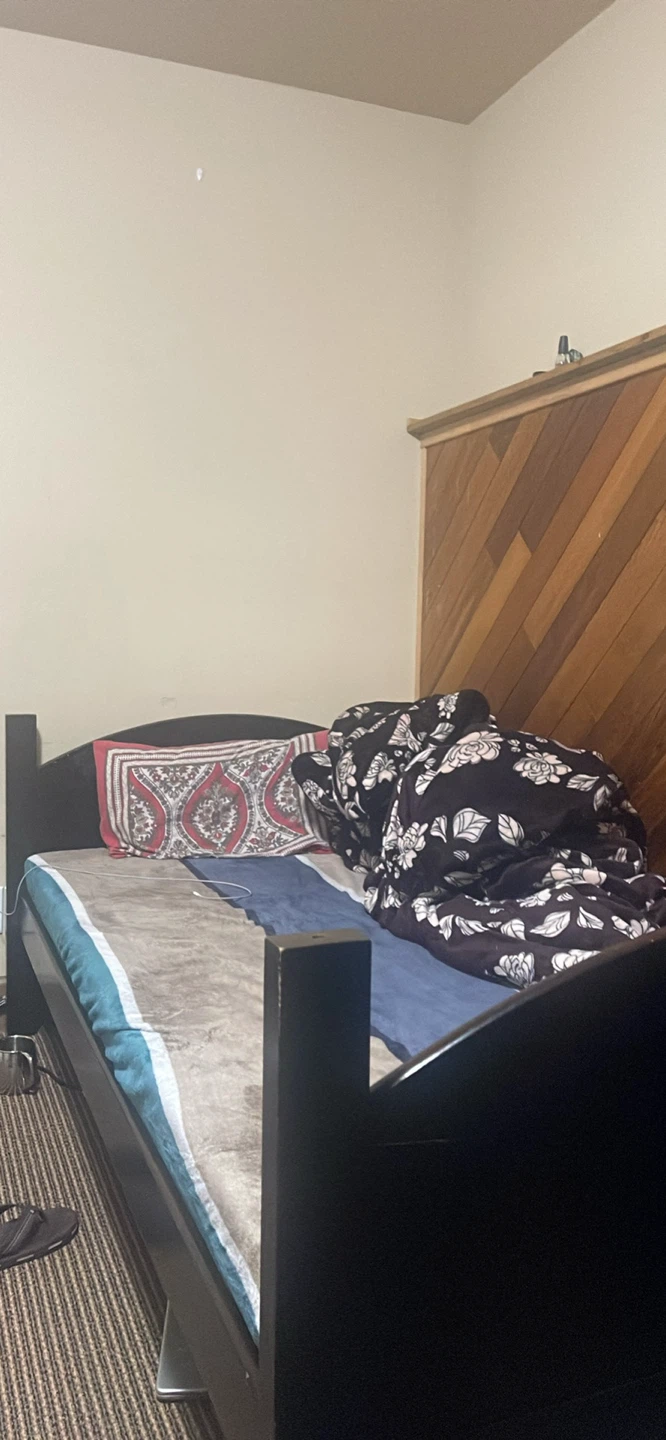 Fan, 2 black chairs , single wooden bed with mattress