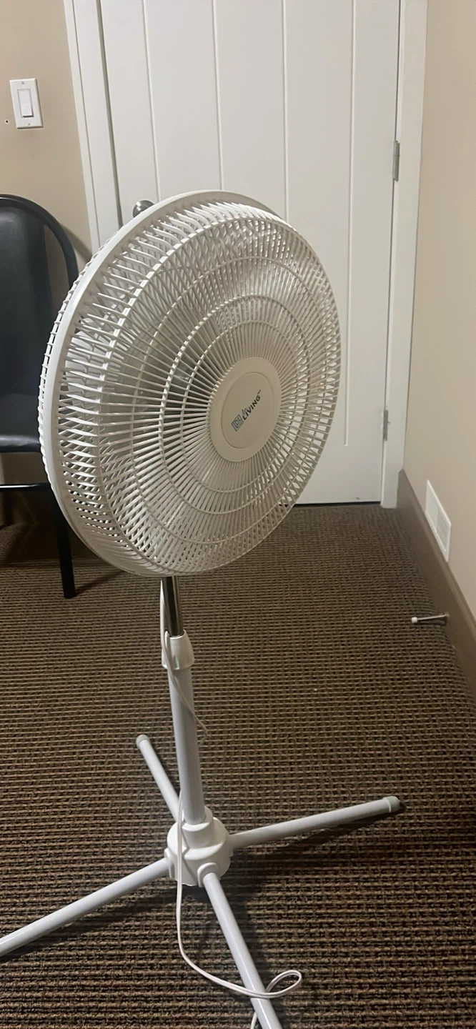 Fan, 2 black chairs , single wooden bed with mattress - photo 3