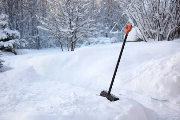 Snow shovelling and Grass cutting