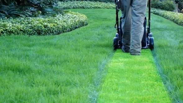 Snow shovelling and Grass cutting - photo 3