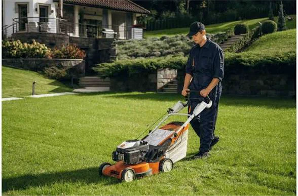 Snow shovelling and Grass cutting - photo 5