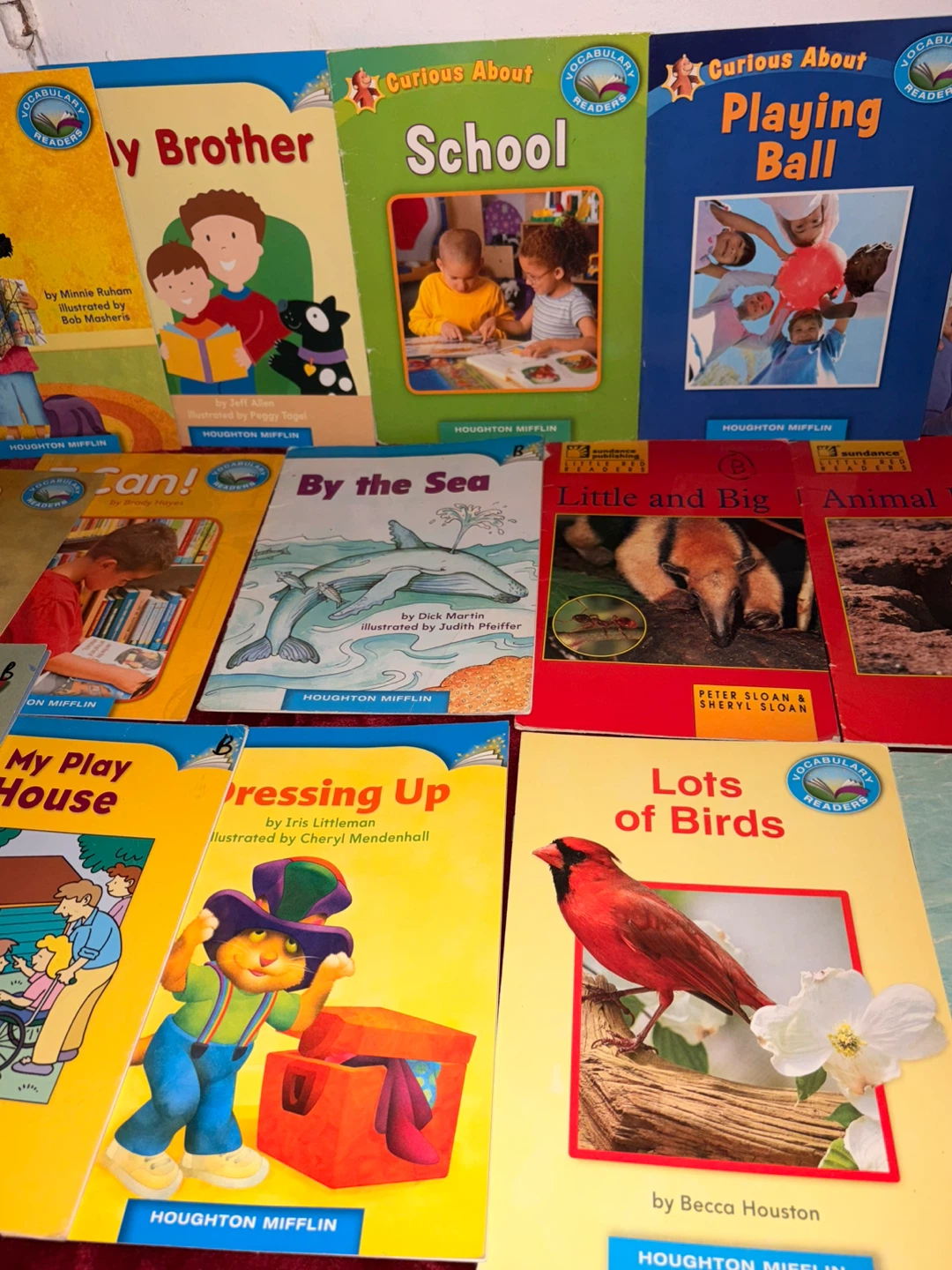 Books 19 in all - photo 3