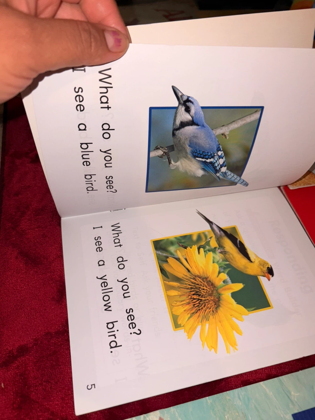 Books 19 in all - photo 5