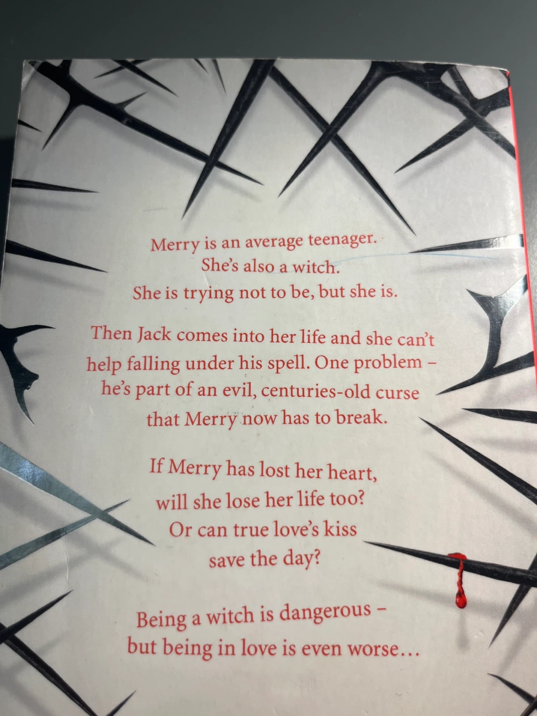 The Witch's Kiss by Katharine and Elizabeth Corr - photo 2