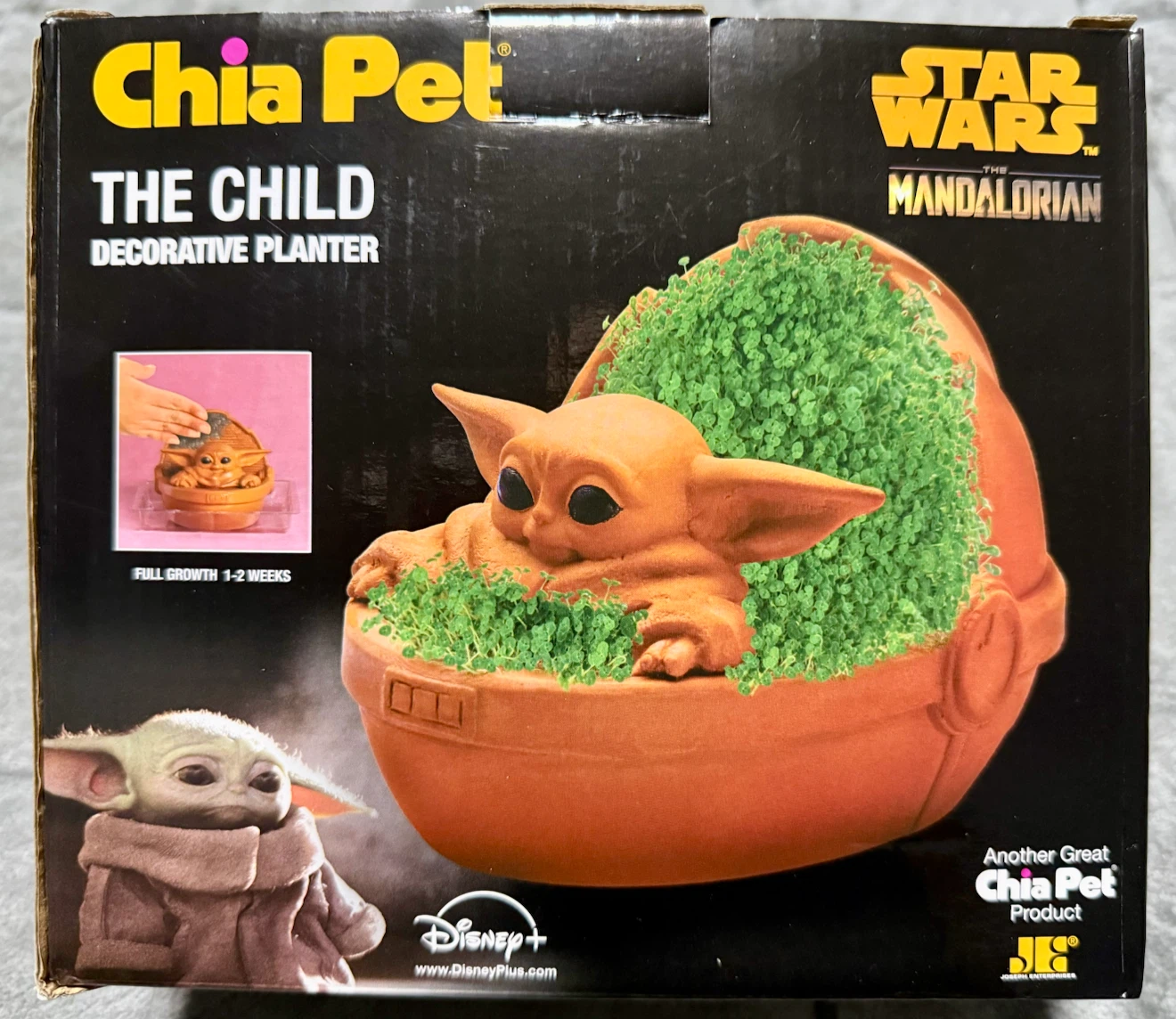 Chia Pet The Child Decorative Planter