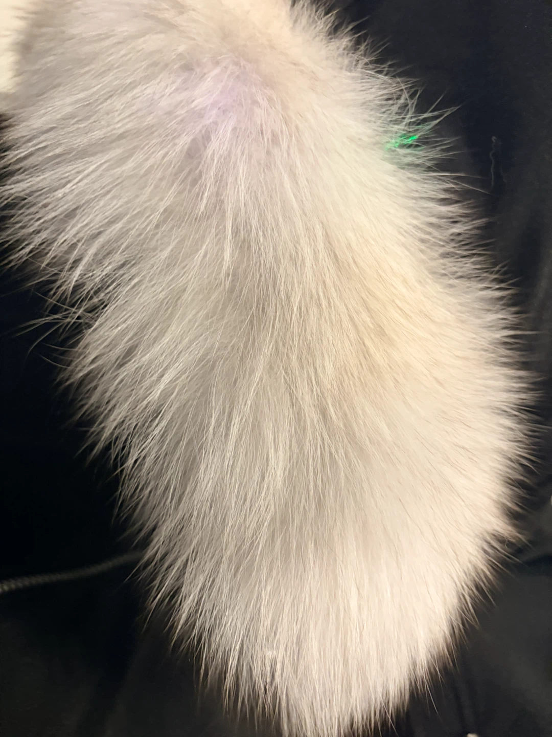 Medium Moose Knuckles Down Filled Winter Jacket - photo 3