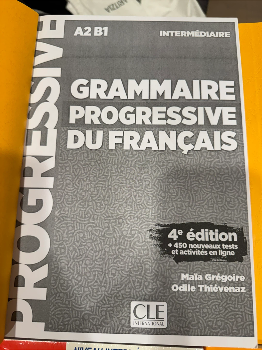 French Learning Book - photo 3