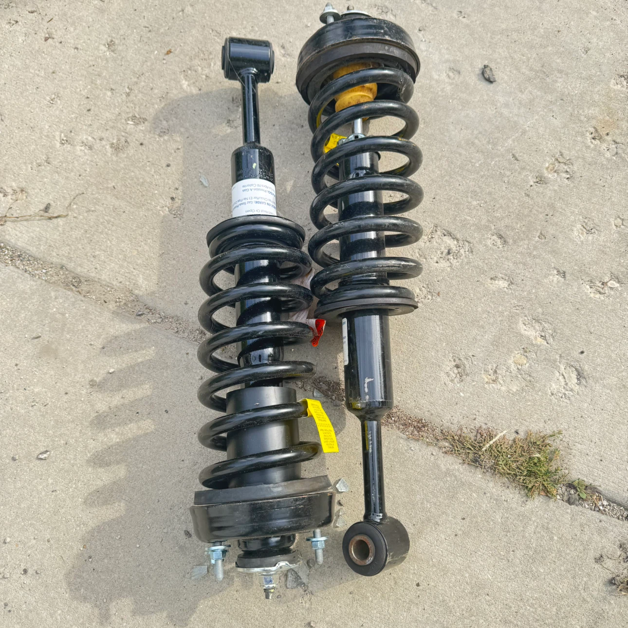 Set of Two Automotive Strut Assemblies