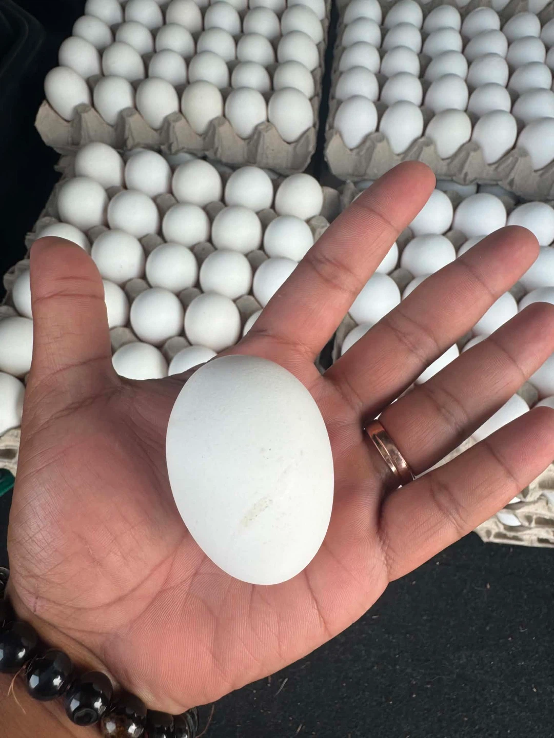 Fresh XL White Eggs