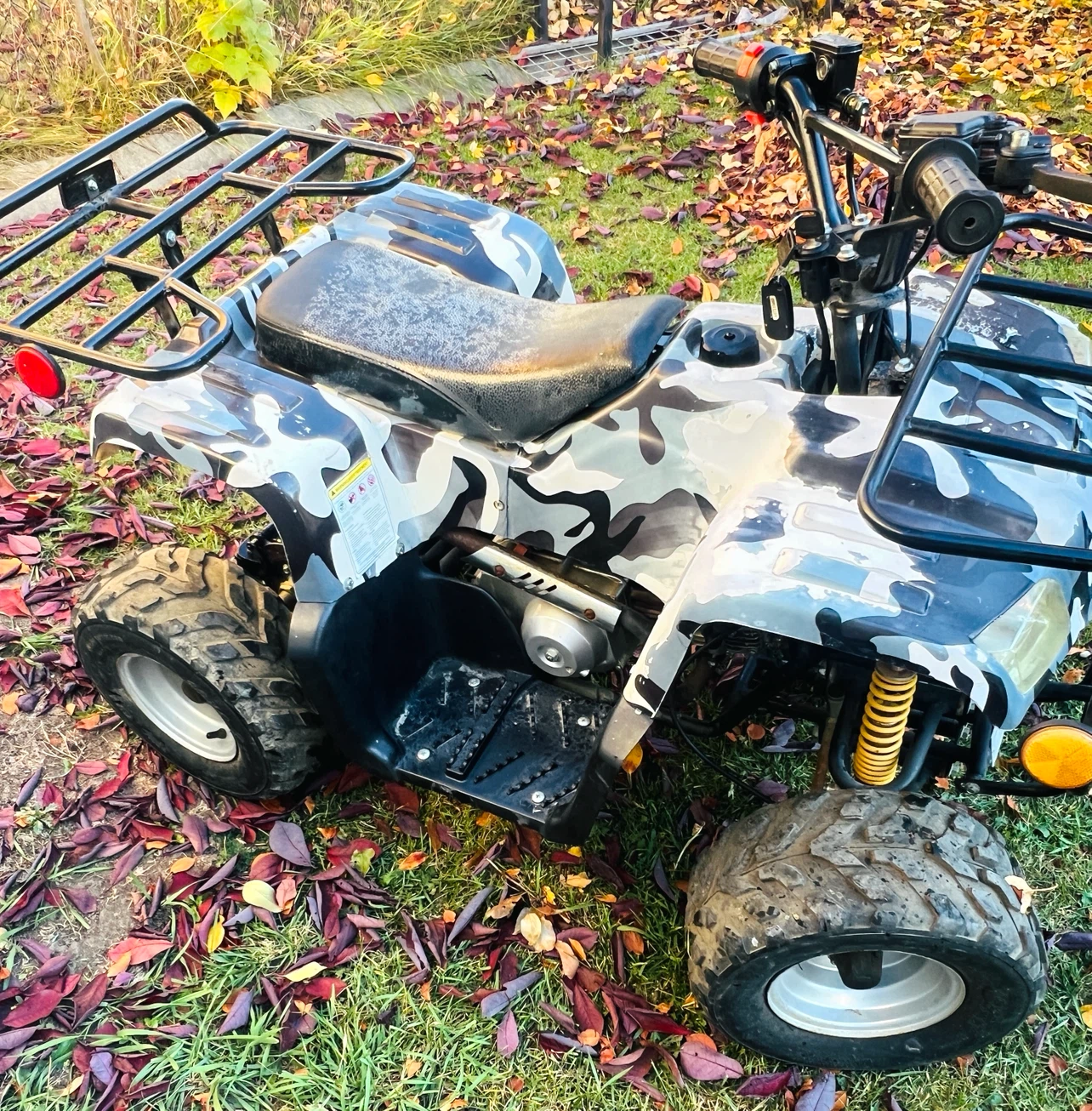 Kids Quad Camouflage110cc - photo 4