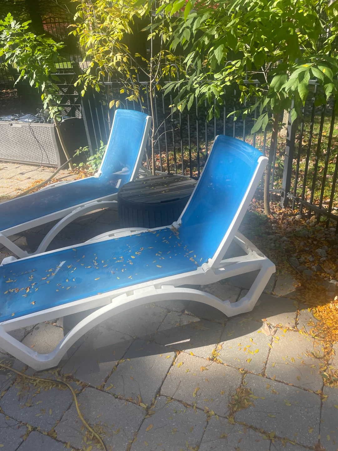 Two Blue and White Patio Lounge Chairs