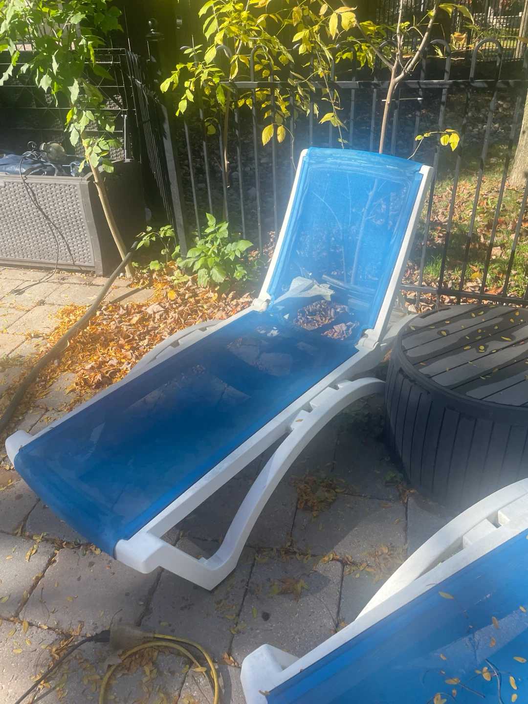 Two Blue and White Patio Lounge Chairs - photo 2